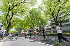 新年度陸連登録